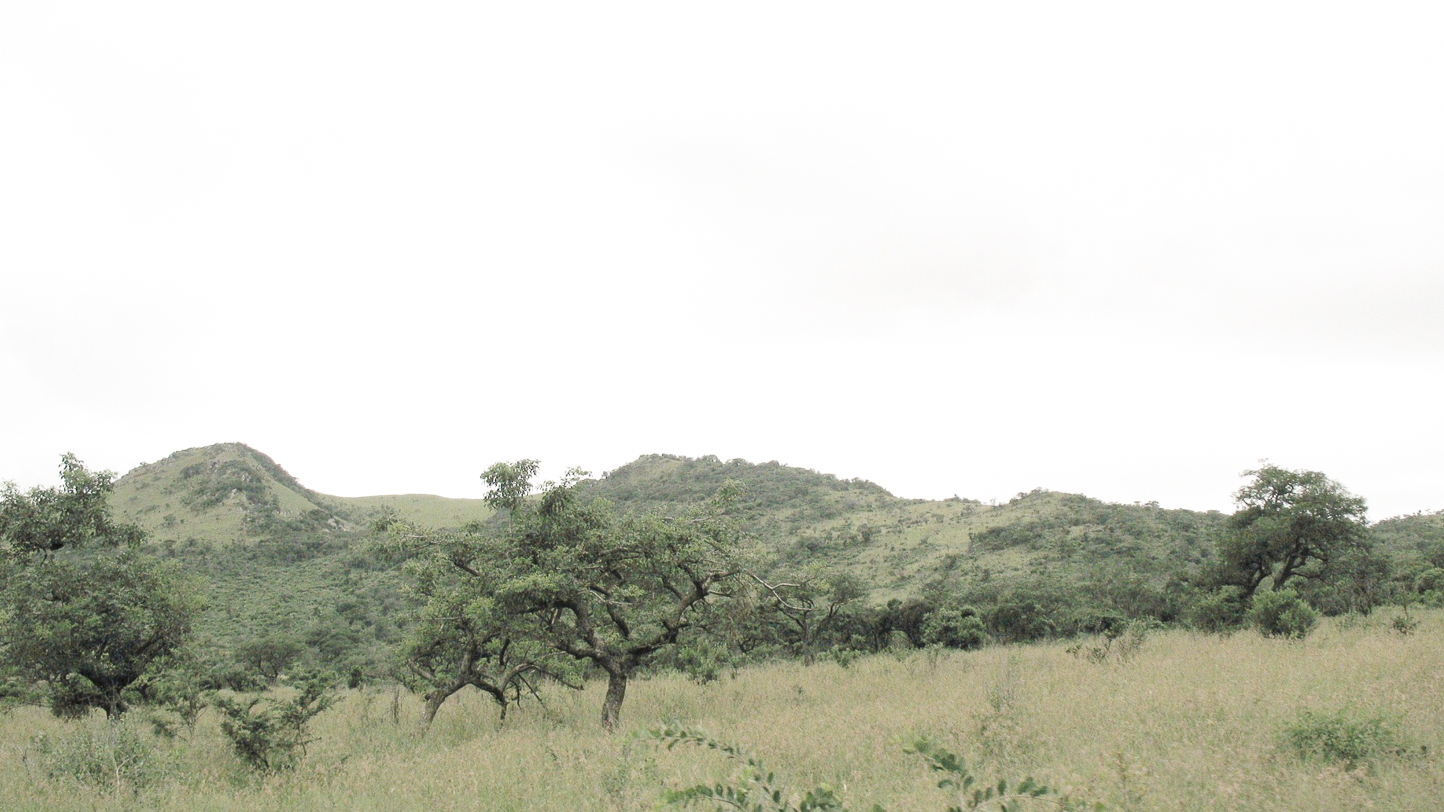 Safari en 4x4 dans le Parc de Hluhluwe-Umfolozi