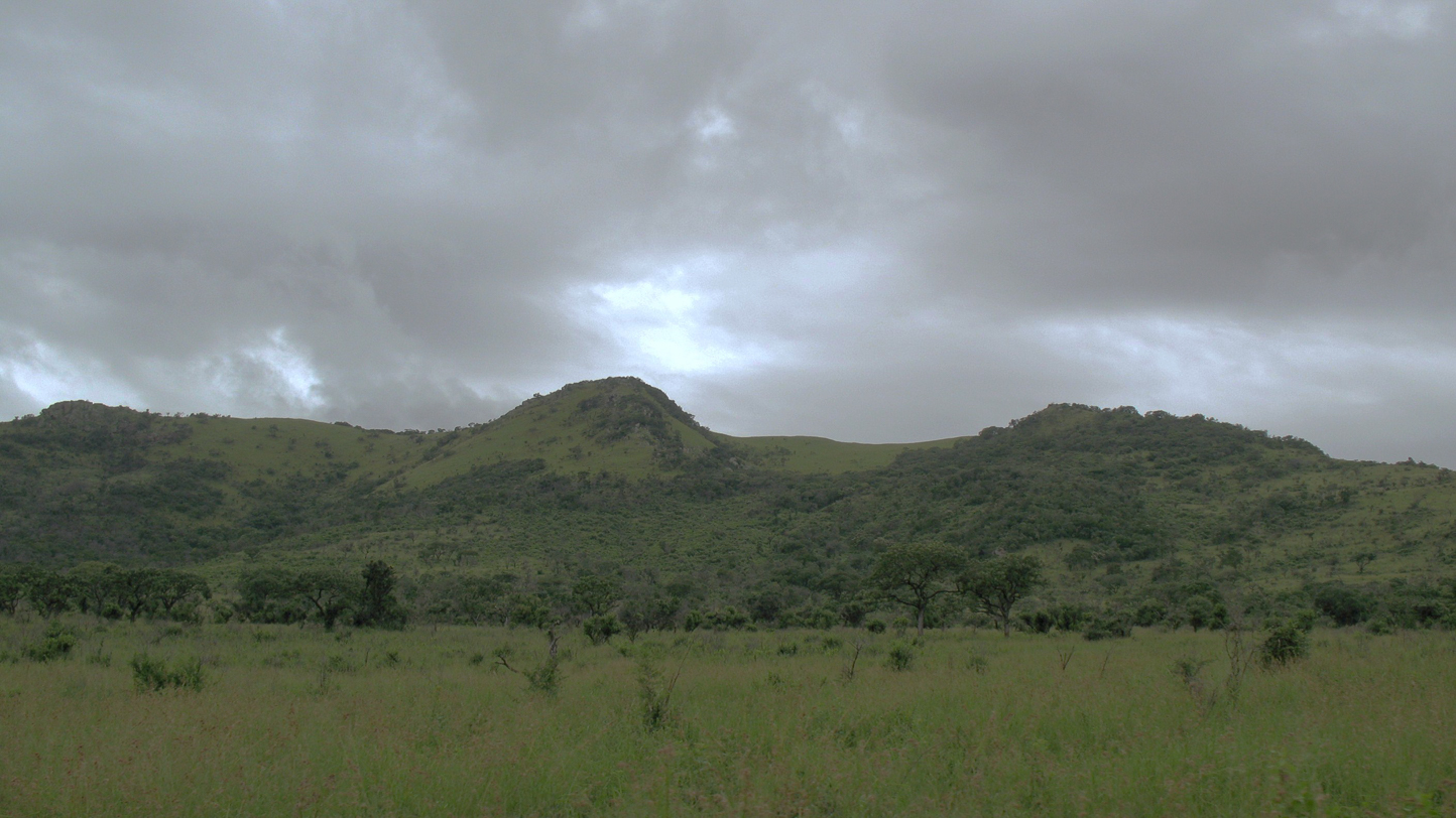 Safari en 4x4 dans le Parc de Hluhluwe-Umfolozi