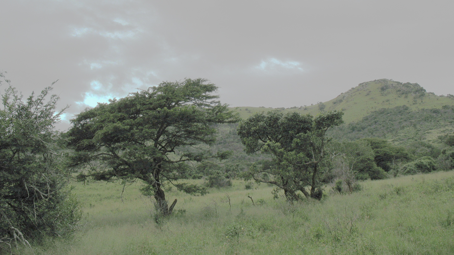 Safari en 4x4 dans le Parc de Hluhluwe-Umfolozi