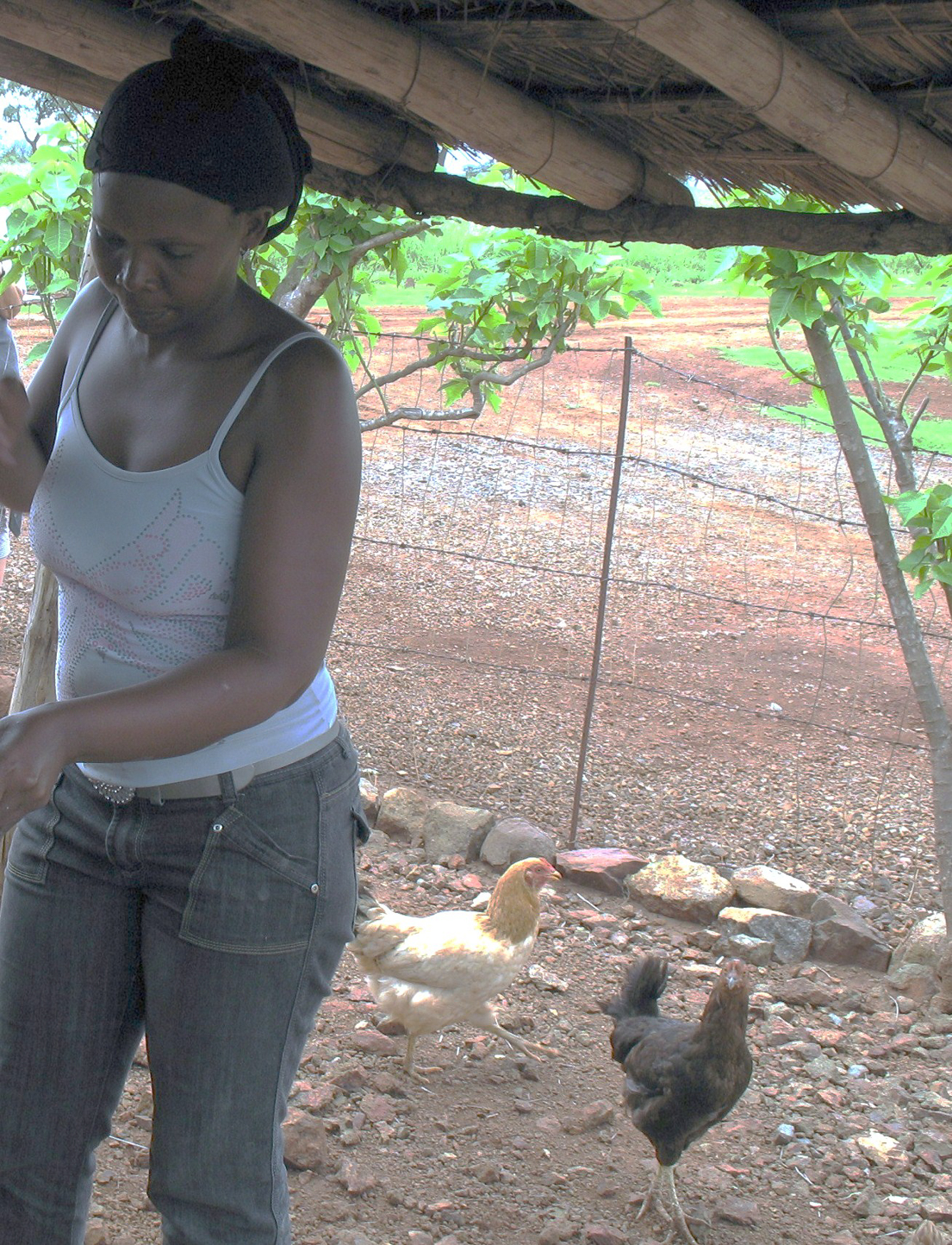 Petit village au Swaziland