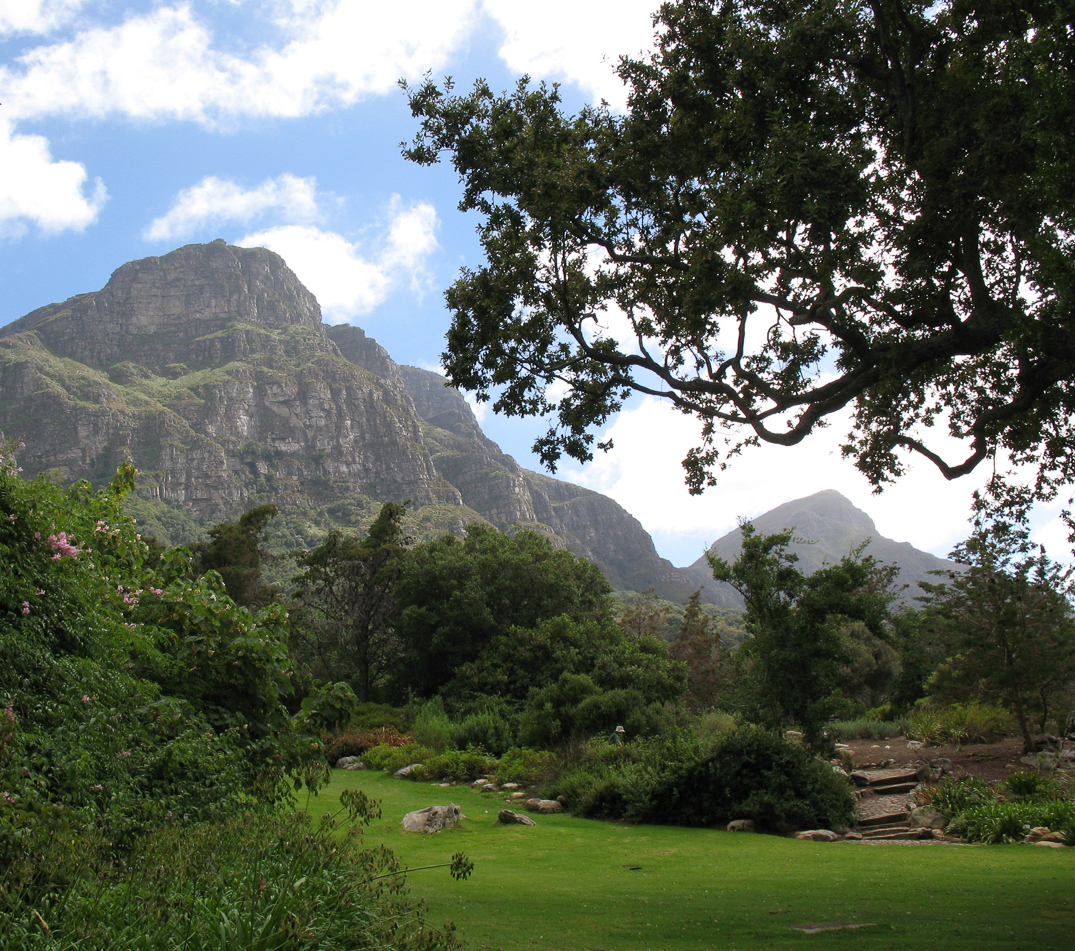 Jardin botanique de Kirstenbosch
