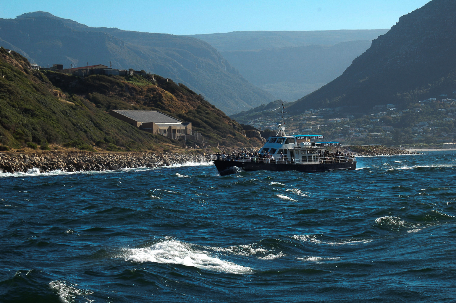 Pendant la croisière à l'ile aux phoques