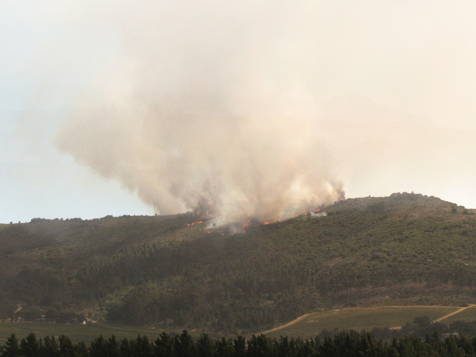 Un incendie sur la route des vins ..