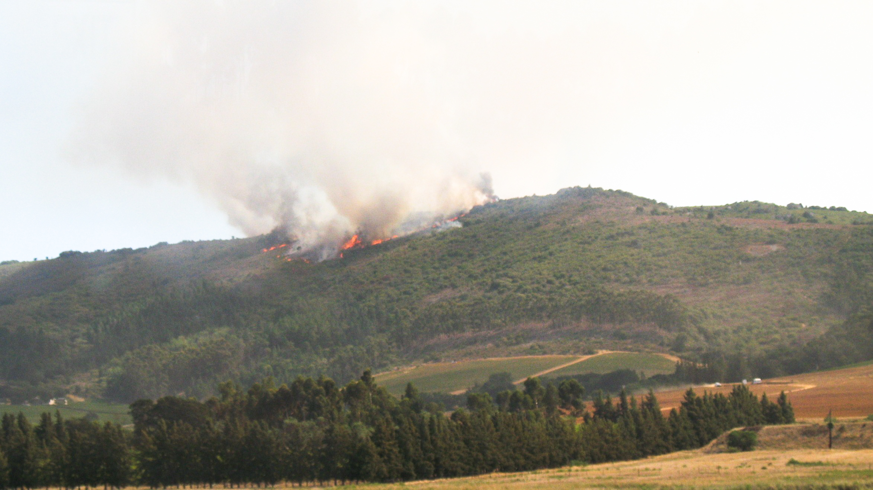 Un incendie sur la route des vins ..